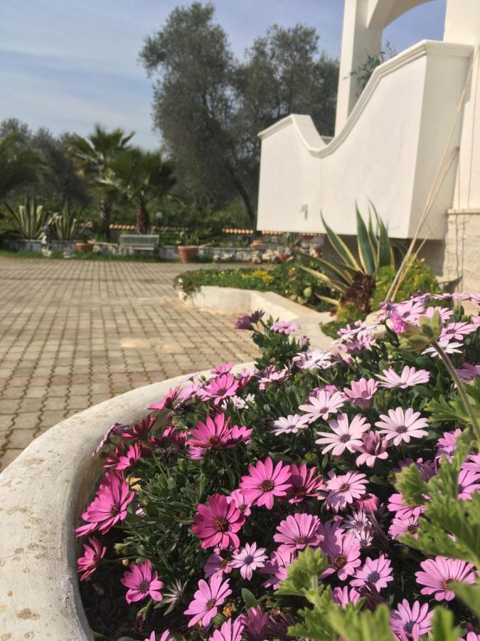 Villa Cristalda Vieste Dış mekan fotoğraf
