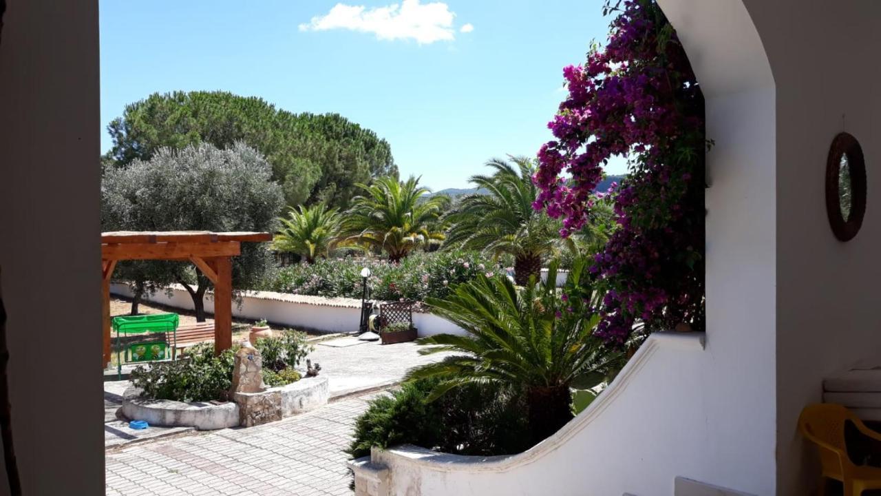 Villa Cristalda Vieste Dış mekan fotoğraf